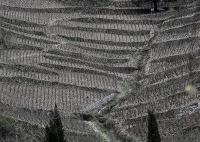 Condrieu, France